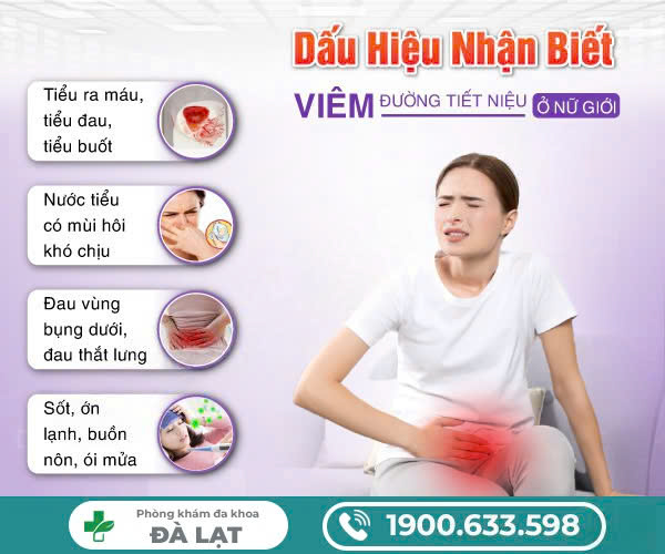 Hình ảnh minh họa